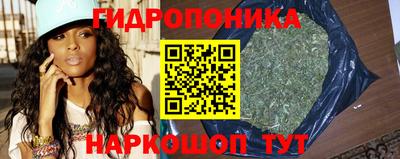 СК Тара