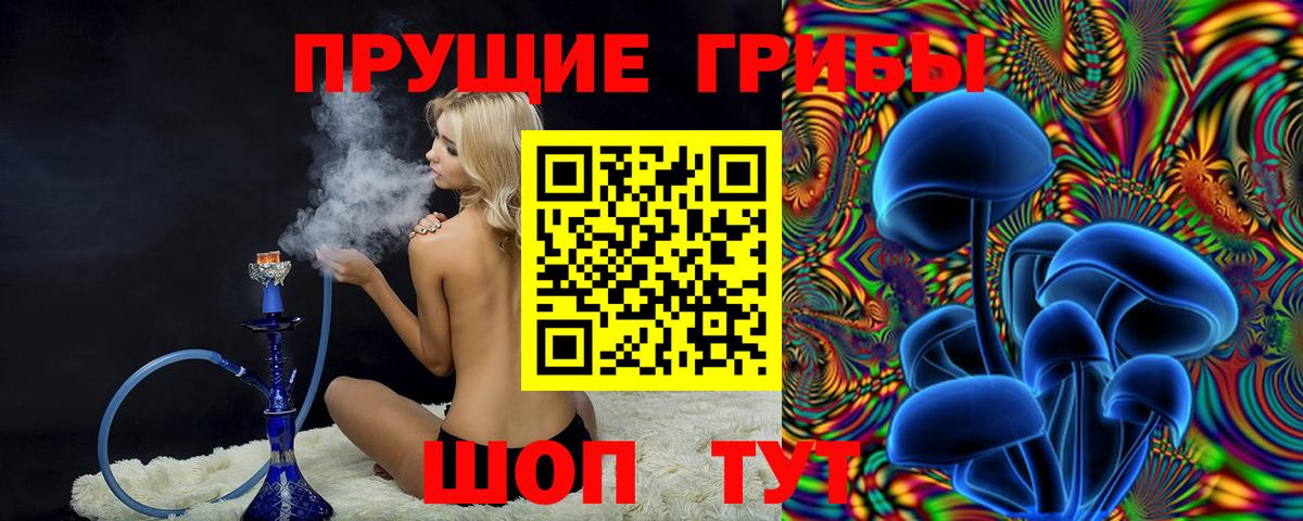 Белая Калитва  Псилоцибиновые грибы Psilocybine cubensis  Вход с VPN 