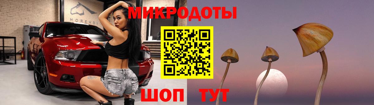Псилоцибиновые грибы Psilocybine cubensis Белая Калитва
