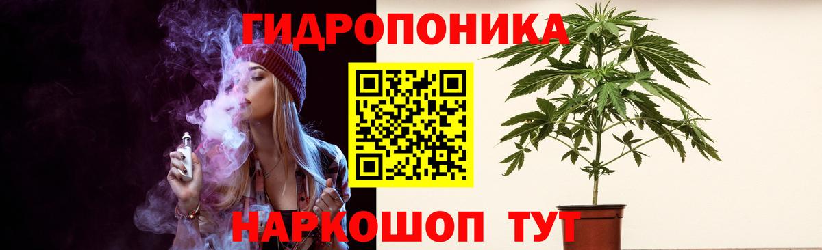Шишки марихуана планчик Белая Калитва